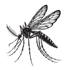 Black Mosquito Silhouette Vector, High Quality Illustration on White Background