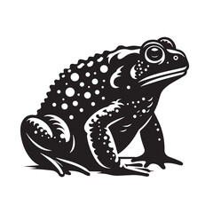 Black Salamander Silhouette Vector, High Quality Illustration on White Background