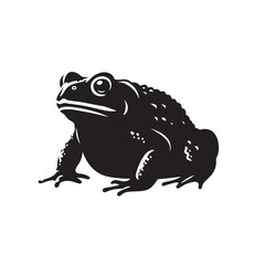 Black Salamander Silhouette Vector, High Quality Illustration on White Background