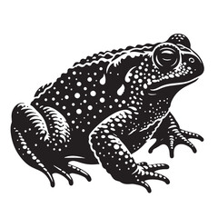 Black Salamander Silhouette Vector, High Quality Illustration on White Background