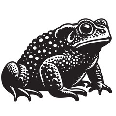 Black Salamander Silhouette Vector, High Quality Illustration on White Background