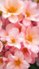 Obraz premium Soft-focus watercolor floral backdrop with pastel hues and blurred petals, floral, macro