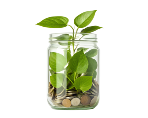 A vibrant green plant sprouting from a glass jar filled with coins, symbolizing growth, investment, and the blossoming of financial prosperity against a clean white background.