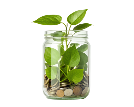 A vibrant green plant sprouting from a glass jar filled with coins, symbolizing growth, investment, and the blossoming of financial prosperity against a clean white background.