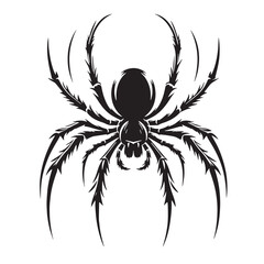 Black Spider Silhouette Vector, High Quality Illustration on White Background