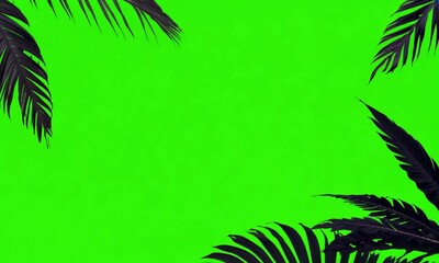 palm leaves on green screen - Powered by Adobe