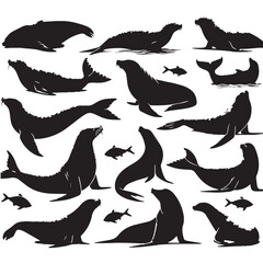 Black Caribbean Monk Seal Silhouette Vector, High Quality Illustration on White Background