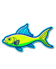 colorful fish on a white background