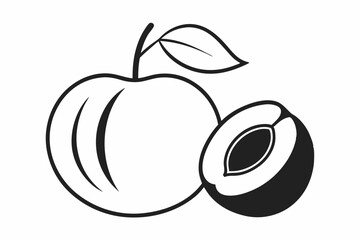 apricot with half cut stone line art vector illustration