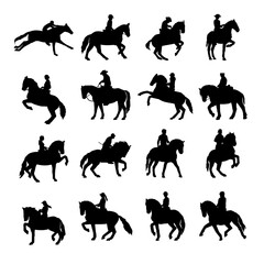silhouette sport horse on white background