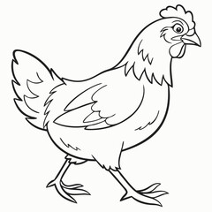 brown body of chicken hen standing isolated transparent background