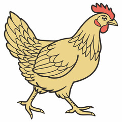 brown body of chicken hen standing isolated transparent background