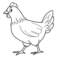 brown body of chicken hen standing isolated transparent background