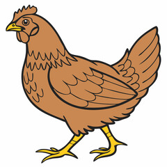 brown body of chicken hen standing isolated transparent background