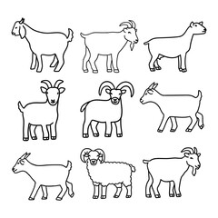 illustration hand draw goat collection set, flat design