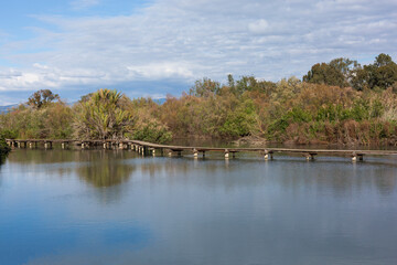 A walk in nature on a clear sunny day