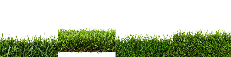 Fototapeta premium A picturesque expanse of lush vibrant green grass with a serene and tranquil atmosphere creating a calming and refreshing natural landscape