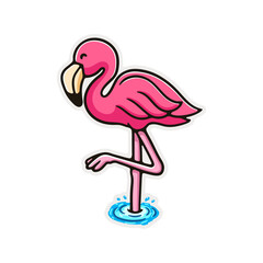 Illustration Flamingo bird mascot cartoon