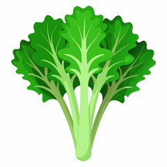 Rapini vegetable isolated vector