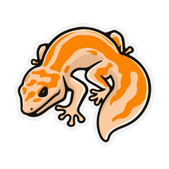illustration cute cartoon gecko collection on white background