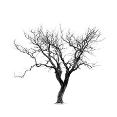 A Stark, Solitary Tree Stands Against A Bright White Winter Sky, Its Branches Reaching Upward In Silent Resilience, A Monochrome Study Of Natures Endurance Isolated on Transparent Background