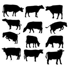 silhouette animal cow collection on white background