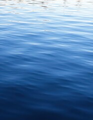 Still, glassy lake surface, gentle ripples disturb the calm water's reflection, summer, green, still