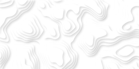 Fototapeta premium Luxury diamond creative abstract background vector natural shadow papercut web topography map spiral line. white light dynamic smooth 3d papercut texture background.