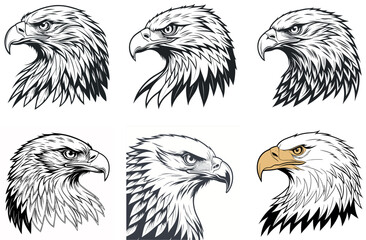 Highly Detailed Vector Illustration of a Majestic Eagle Head with Intricate Feather Patterns and Sharp Eyes