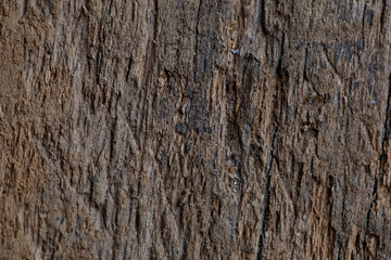 Top view of the wood surface