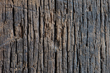 Top view of the wood surface