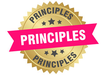 principles. principles round pink and gold label isolated on transparent background