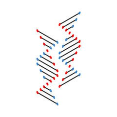 Vector illustration of two DNA strands.