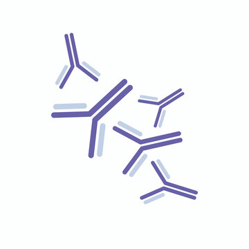 Vector illustration of few antibody molecules.