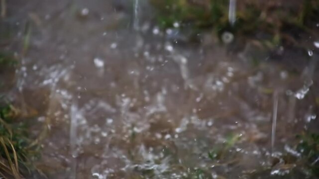 The rain pours into the mud and puddles on the ground.