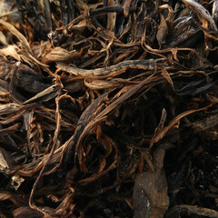Burnt remains
