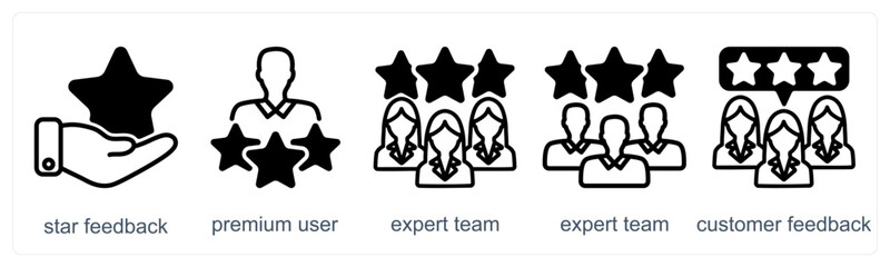 A set of 5 business icons as star feedback, premium user, expert team