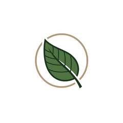 Green leaf inside a circle logo