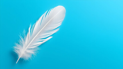 Obraz premium Delicate White Feather on a Bright Blue Background
