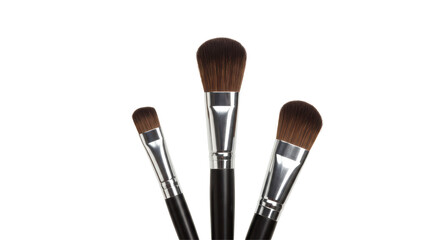 Isolated Makeup Brushes - Accessories