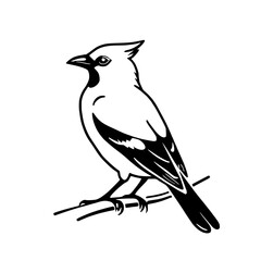 Fototapeta premium Stylized monochrome illustration of a perching songbird This striking avian art piece captures the essence of nature in a simple elegant design