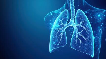 Abstract Lungs with red human bronchial tree structure. Lungs anatomy,left and right bronchus, bronchioles,Medicine cure tuberculosis, pneumonia, asthma. Abstract health care medical concept.