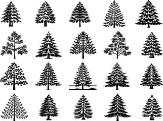 Obraz premium Pine Tree Svg Bundle