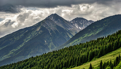 Fototapeta premium Le paysage montagneux verdoyant