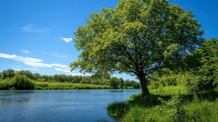 Fototapeta premium Serene River Landscape with Lush Green Tree and Blue Sky