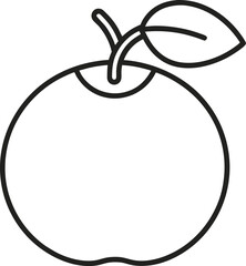 chinese quince fruit outline icon on white background.