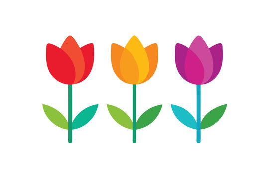 bouquet of tulips