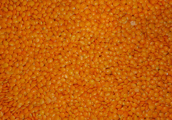 Close-up with many red lentils background