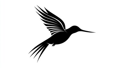 Obraz premium Hummingbird in flight, white background, nature illustration, design element