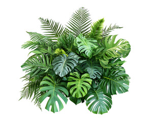 Green Exotic Foliage Set Isolated on Transparent Background